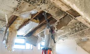 Best Mold Remediation for Healthcare Facilities in Kennedale, TX